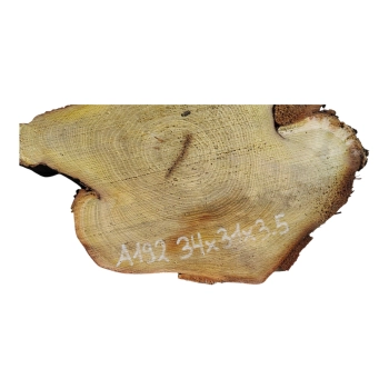 Plaster Akacji 34x31x3,5cm