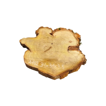 Plaster Akacji 34x31x3,5cm