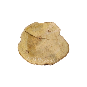 Plaster Akacji 35x30x3,5cm