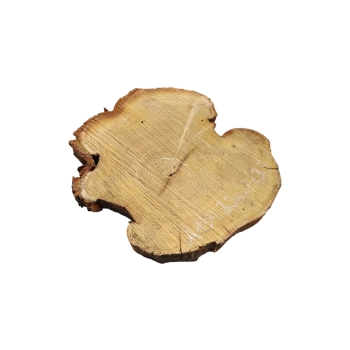 Plaster Akacji 30x27x3,5cm