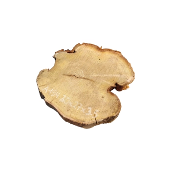 Plaster Akacji 30x27x3,5cm