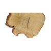 Plaster Akacji 29x26x3,5cm