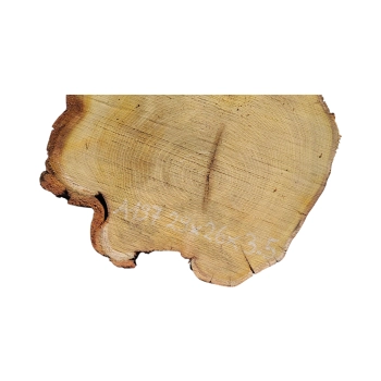 Plaster Akacji 29x26x3,5cm