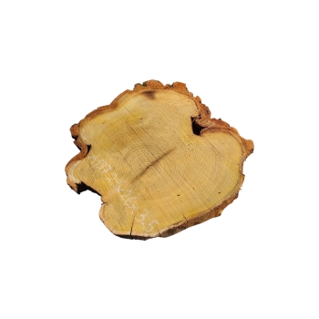 Plaster Akacji 29x26x3,5cm
