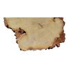 Plaster Akacji 33x33x3,5cm
