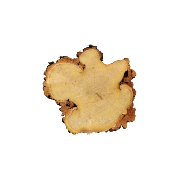 Plaster Akacji 33x33x3,5cm