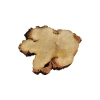 Plaster Akacji 35x32x3,5cm