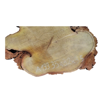 Plaster Akacji 35x32x3,5cm