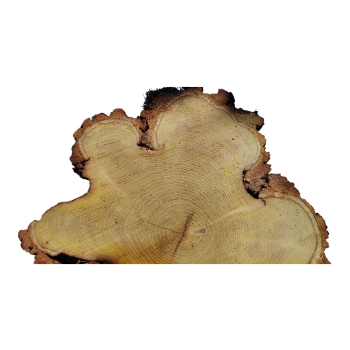Plaster Akacji 35x32x3,5cm