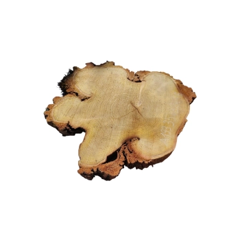 Plaster Akacji 35x32x3,5cm