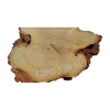 Plaster Akacji 33x31x3,5cm