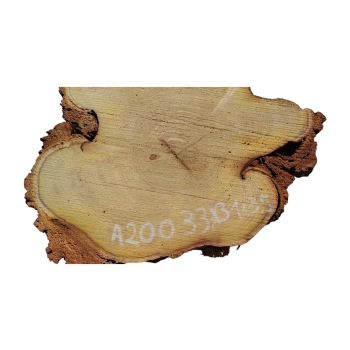 Plaster Akacji 33x31x3,5cm