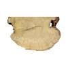 Plaster Akacji 28x22x3,5cm