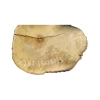 Plaster Akacji 35x29x3,5cm