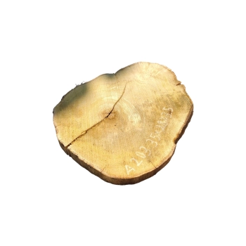Plaster Akacji 35x29x3,5cm