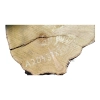 Plaster Akacji 37x29x3,5cm
