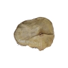 Plaster Akacji 37x27x3,5cm