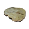 Plaster Akacji 37x27x3,5cm