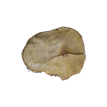 Plaster Akacji 37x27x3,5cm