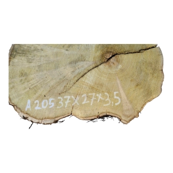 Plaster Akacji 37x27x3,5cm