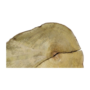 Plaster Akacji 37x27x3,5cm