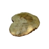 Plaster Akacji 37x29x3,5cm