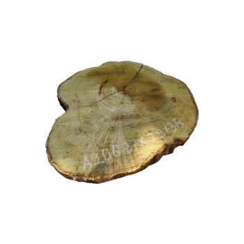 Plaster Akacji 37x29x3,5cm