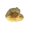 Plaster Akacji 37x30x3,5cm
