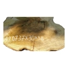 Plaster Akacji 37x30x3,5cm