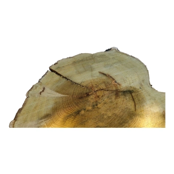 Plaster Akacji 37x30x3,5cm