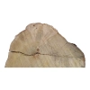 Plaster Akacji 33x33x5cm