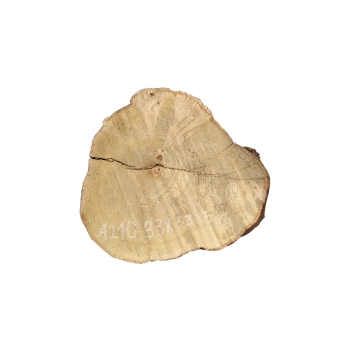 Plaster Akacji 33x33x5cm