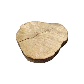 Plaster Akacji 33x33x5cm