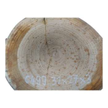 Plaster Czereśni 32x27x3cm