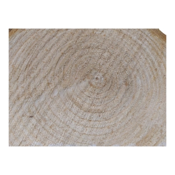 Plaster Czereśni 33x26x3cm
