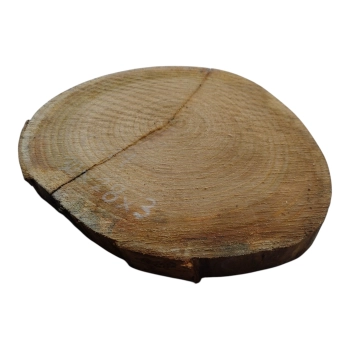 Plaster Czereśni 30x28x3cm
