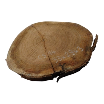 Plaster Czereśni 33x29x3cm