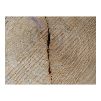 Plaster Czereśni 34x29x3cm