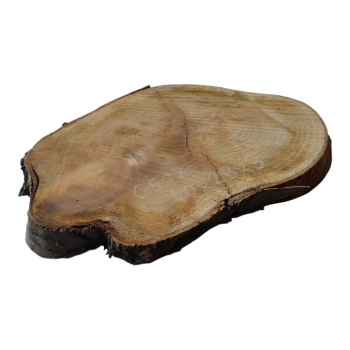 Plaster Czereśni 40x28x3cm