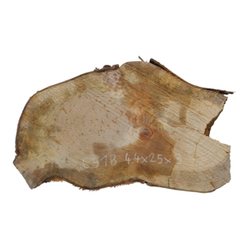 Plaster Czereśni 44x25x3cm