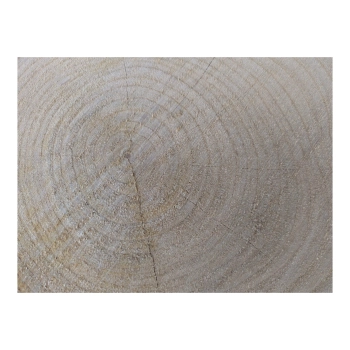 Plaster Czereśni 34x26x3cm