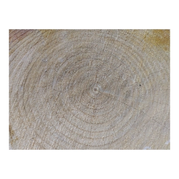 Plaster Czereśni 32x26x3cm