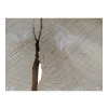 Plaster Czereśni 37x29x3cm