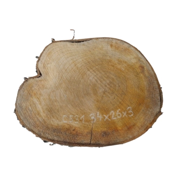 Plaster Czereśni 34x26x3cm