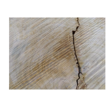 Plaster Czereśni 39x29x3cm
