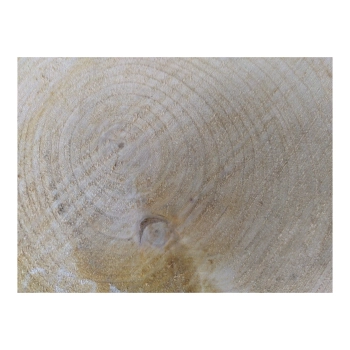 Plaster Czereśni 33x27x3cm