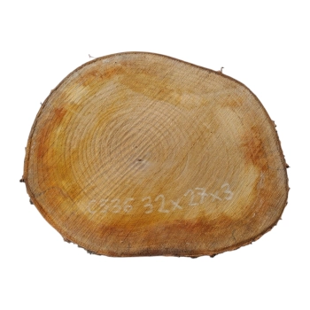 Plaster Czereśni 32x27x3cm