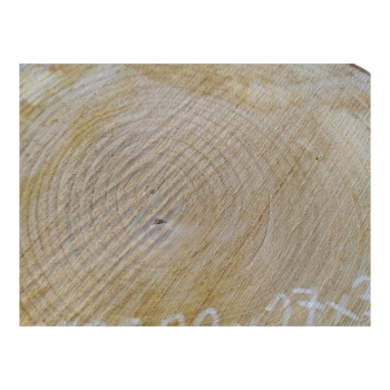 Plaster Czereśni 32x27x3cm