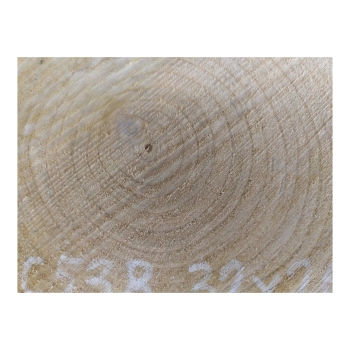 Plaster Czereśni 32x26x3cm
