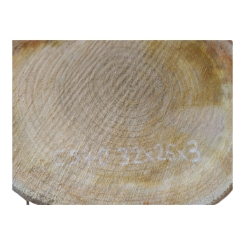 Plaster Czereśni 32x26x3cm